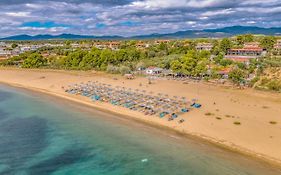 Coral Blue Beach Hotel Gerakini